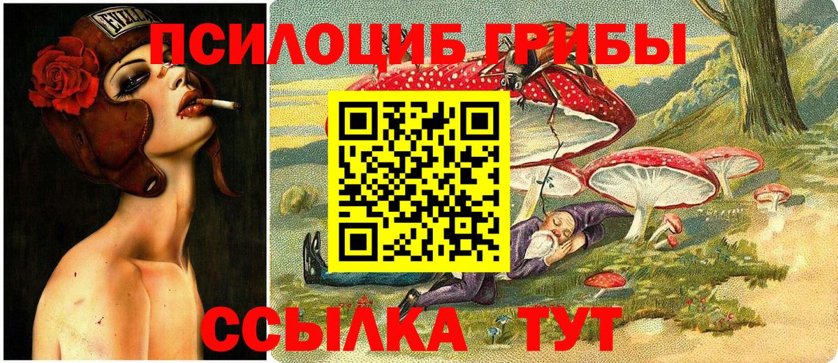 Псилоцибиновые грибы Psilocybine cubensis  Вход с VPN  даркнет сайт  Нефтекумск 